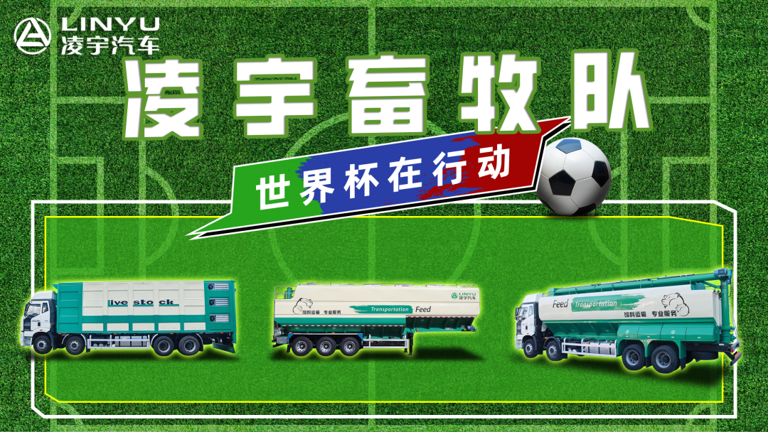 奪冠世界杯！你注意到這支球隊(duì)了嗎？